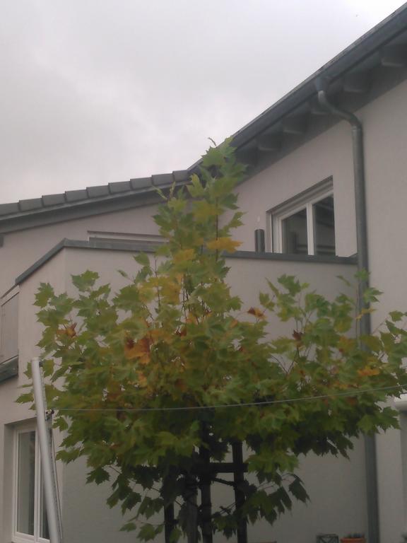 Ferienwohnung Zum Kletterturm كاوفبويرن المظهر الخارجي الصورة